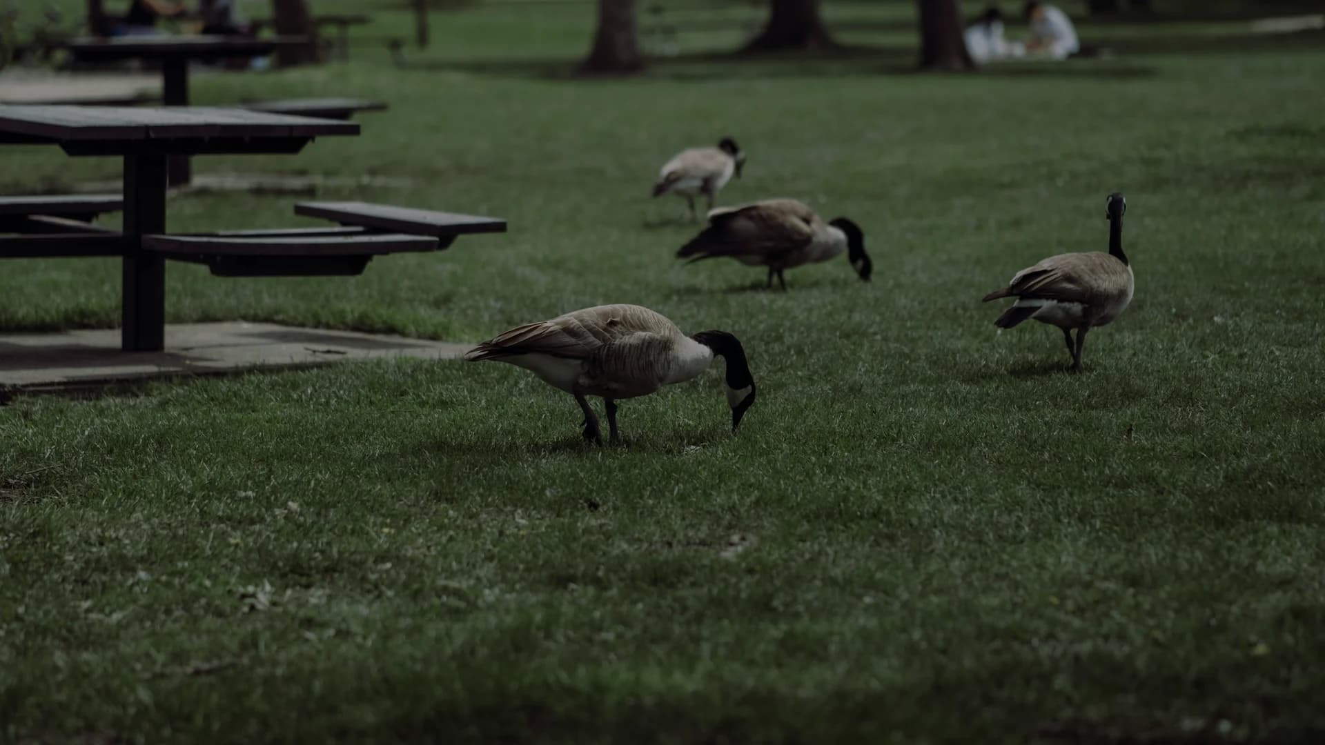 Aerial view of Kitchener, Ontario - Steward Seal Coating service area
