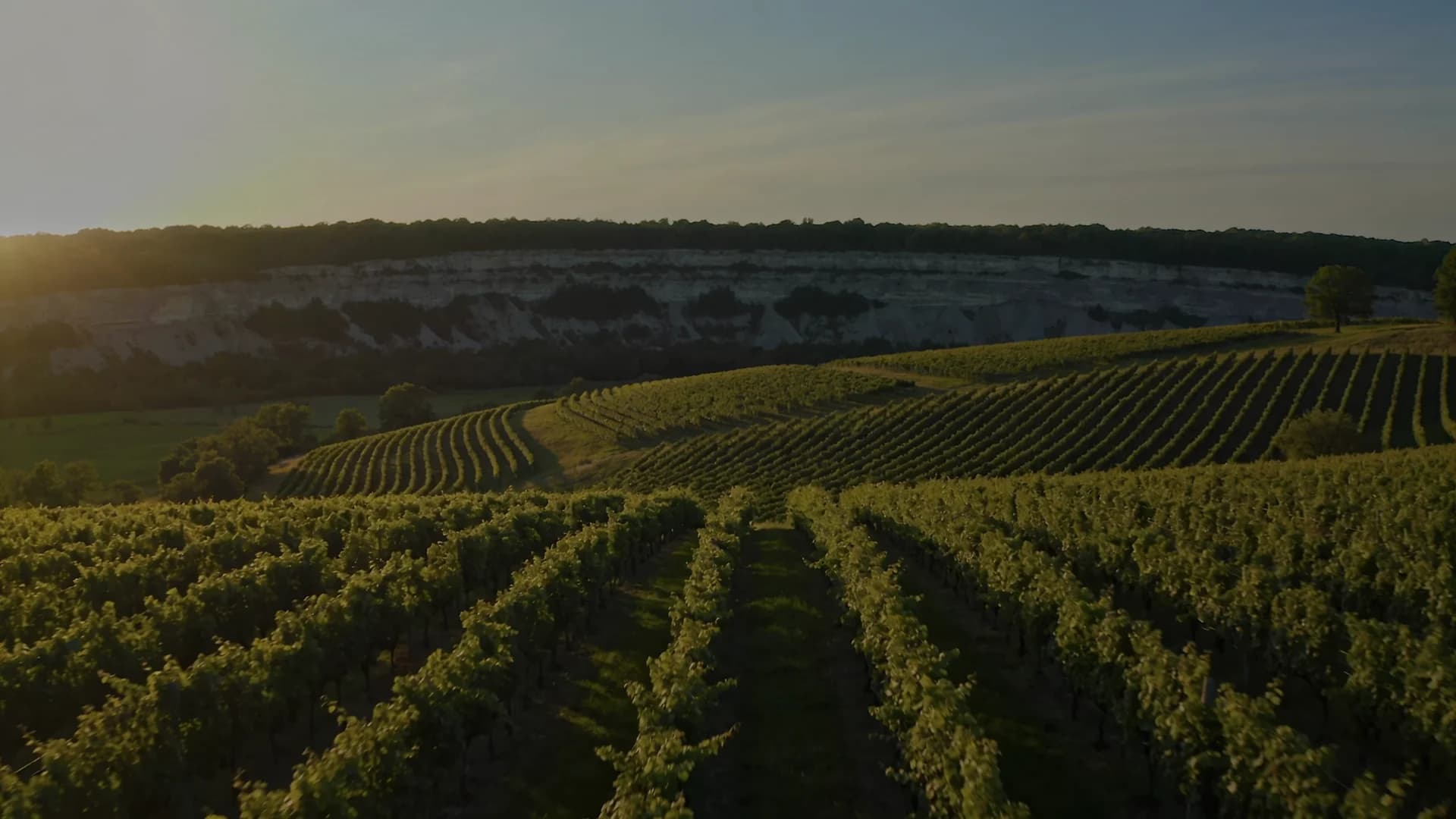 Golden Horseshoe / Niagara landscape - Steward Seal Coating service area